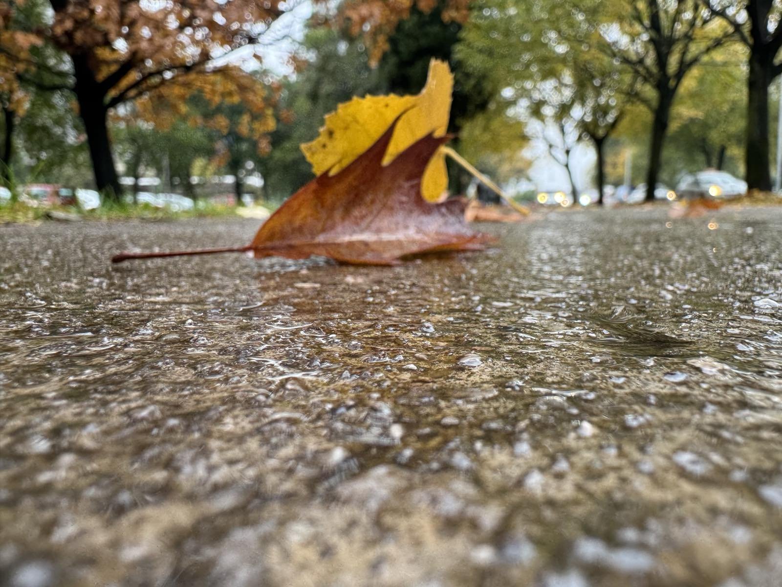 Danas oblačno, do 15 stepeni