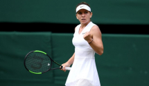Halep u finalu Vimbldona