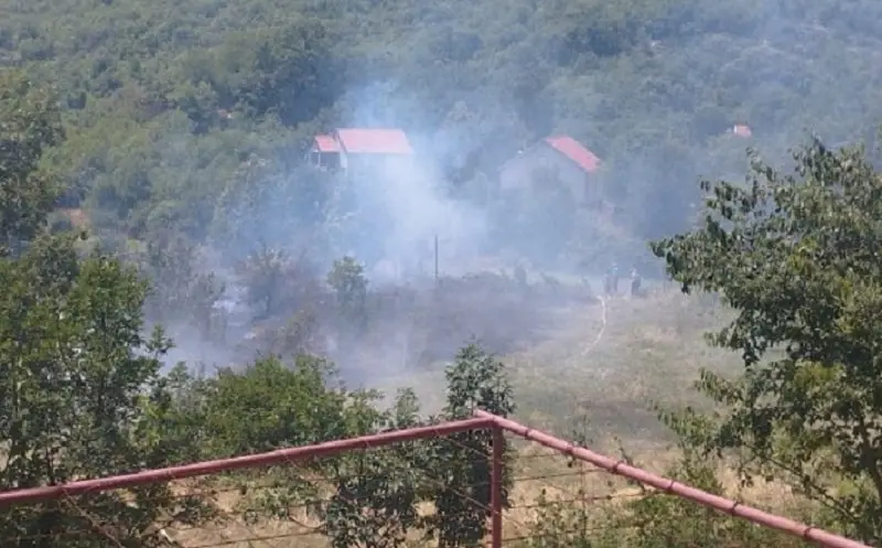 Cetinje: Lokalizovan požar na Bokovu, bile ugrožene dvije kuće