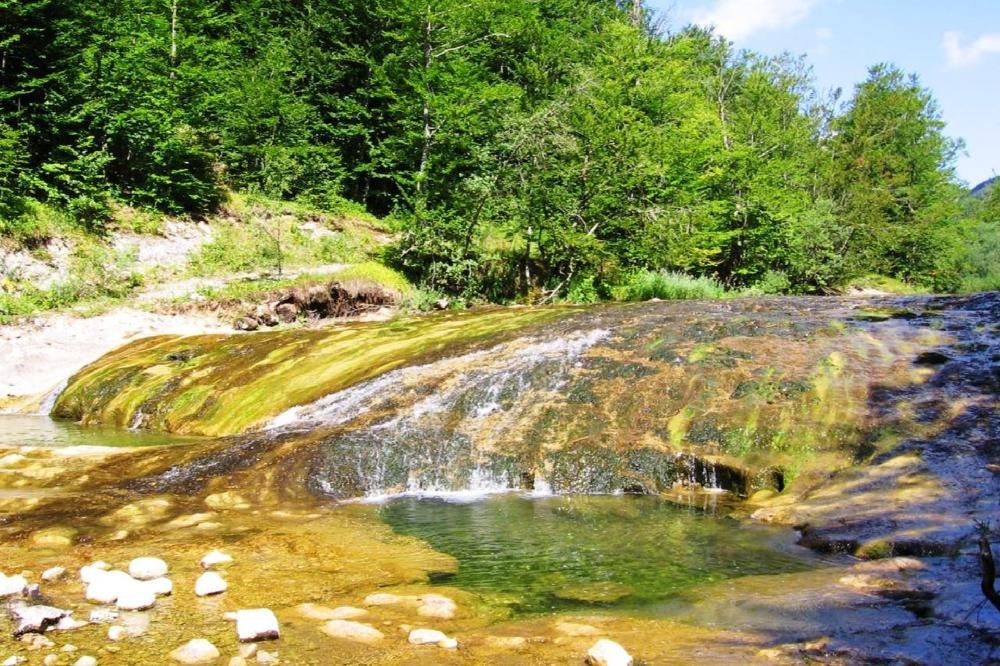 Zaštićena pastrmka se i pored zabrane prodaje na pijaci u Žabljaku