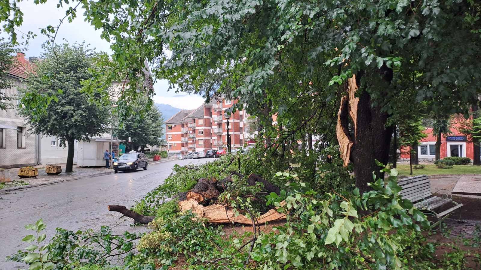 Udari groma u Mojkovcu raspolovili stablo, oštetili kuću...