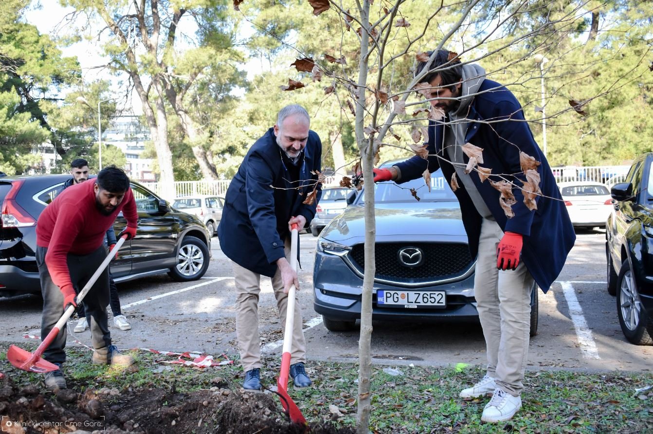 Sadnjom novih stabala počela akcija „Ozelenimo Klinički centar“