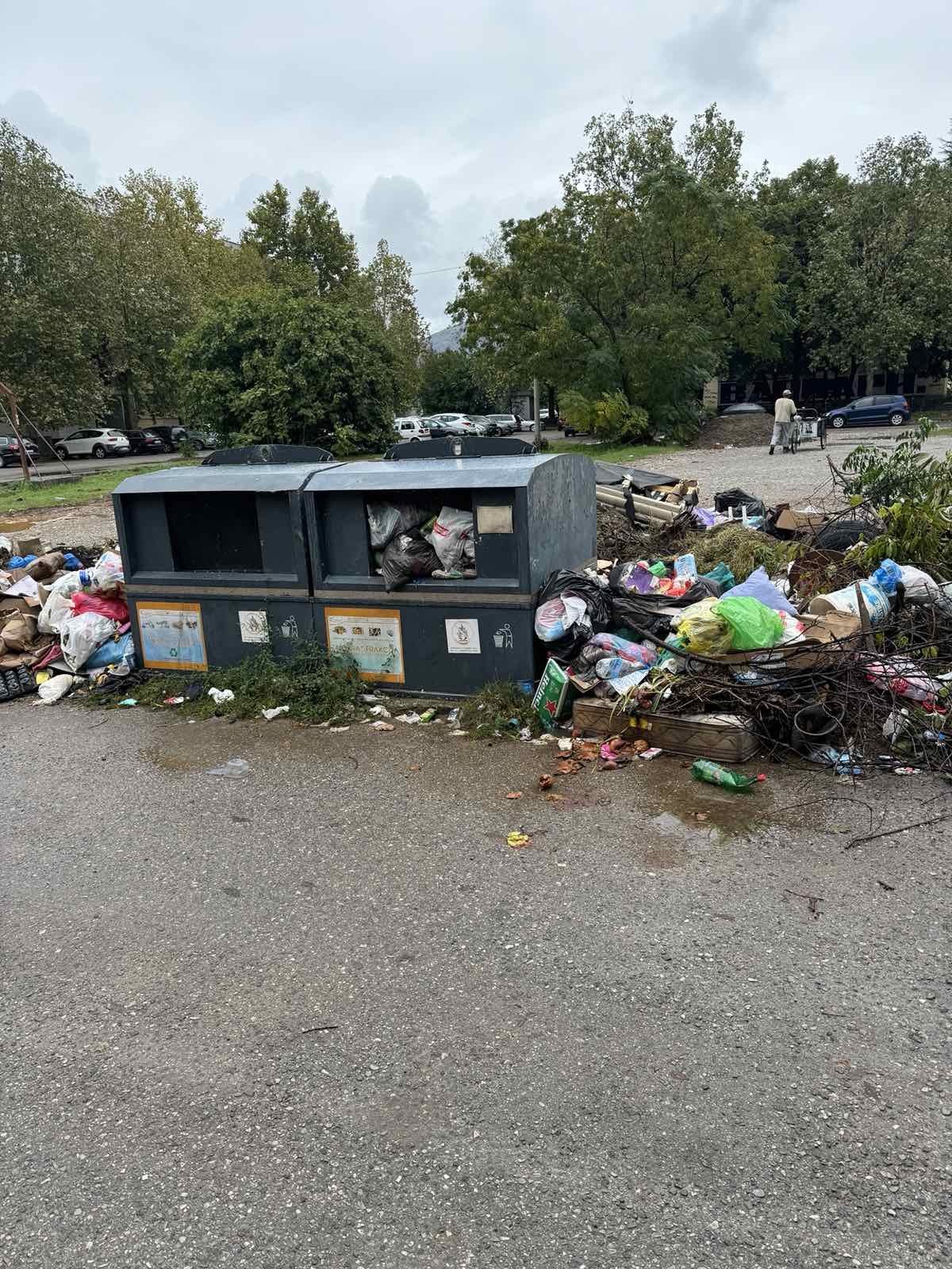 Selfi sa Komunalnom službom Podgorice