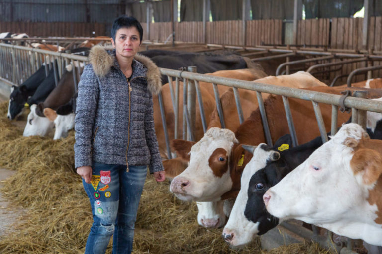 Najsavremenija farma u Crnoj Gori: Kako je Tanja nabavila robote za mužu krava