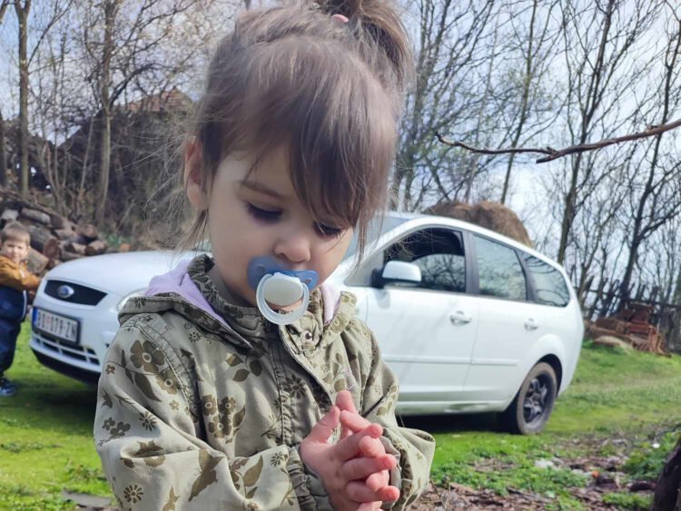 Dvije osobe uhapšene u Srbiji zbog prijetnji roditeljima ubijene djevojčice Danke Ilić, objavila policija