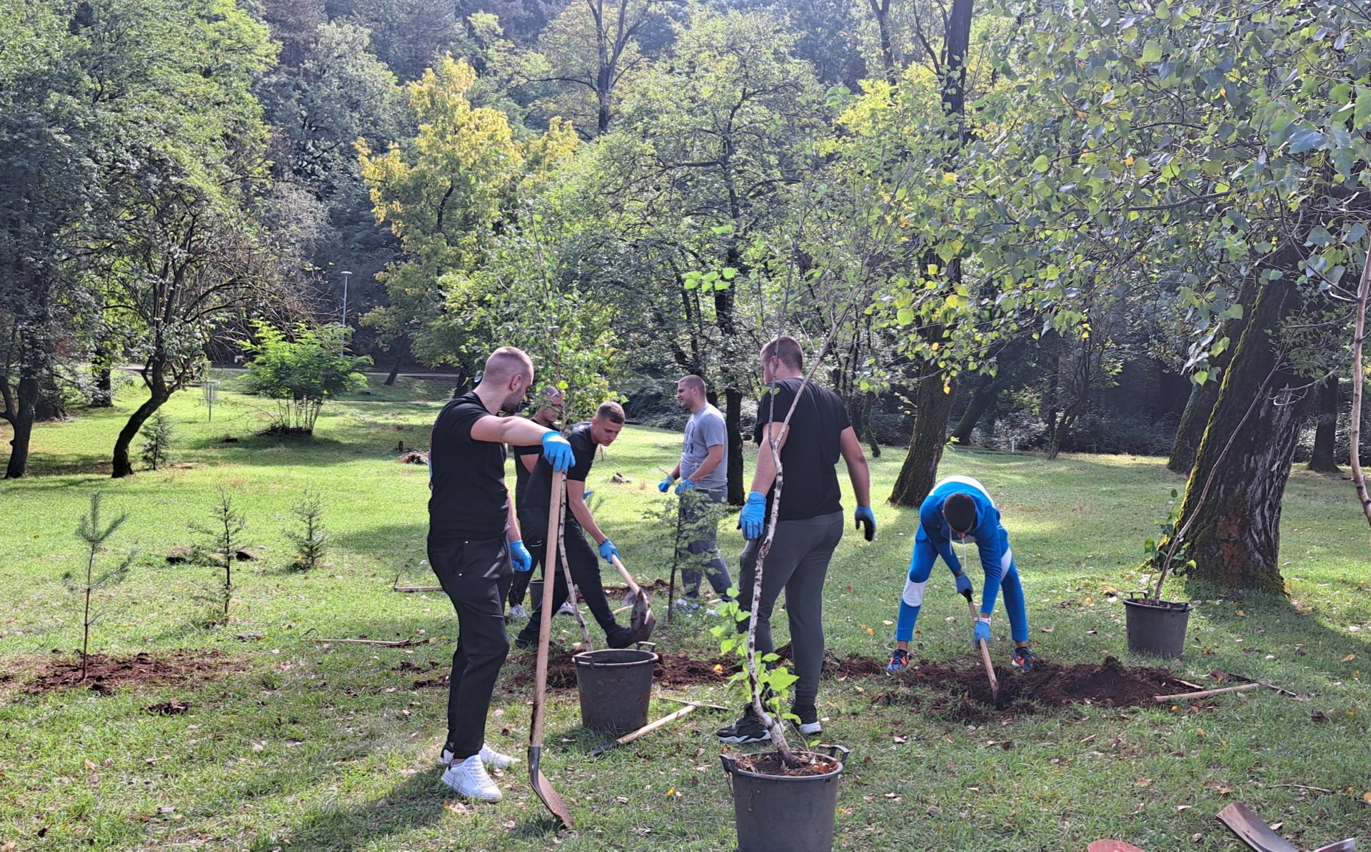 Park šuma Trebjesa zelenija za više od 130sadnica