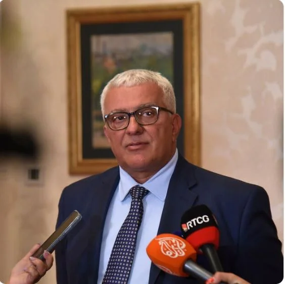 Mandić: Rat koji vode neke ambasade protiv predstavnika srpskog naroda u Crnoj Gori nije zabilježen nigdje u Evropi