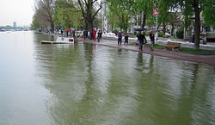 Dunav: Isplivao leš žene na keju