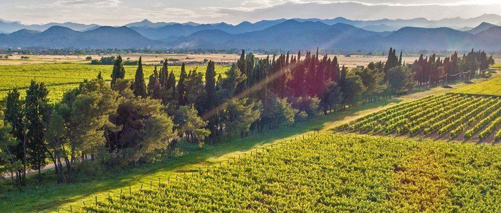 STEGA upozorava na rasprodaju imovine "Plantaža" i poziva Vladu na hitnu reakciju