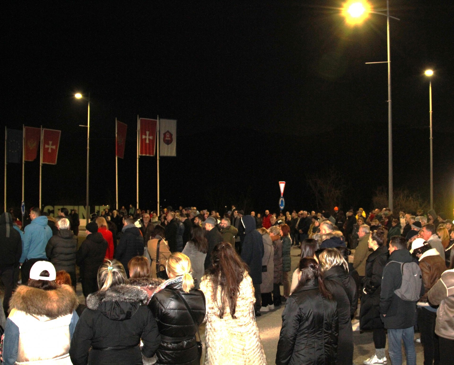 Plenum cetinjskih prosvjetnih i kulturnih radnika: Pozivamo ostala strukovna udruženja da podrže studente u zahtjevima