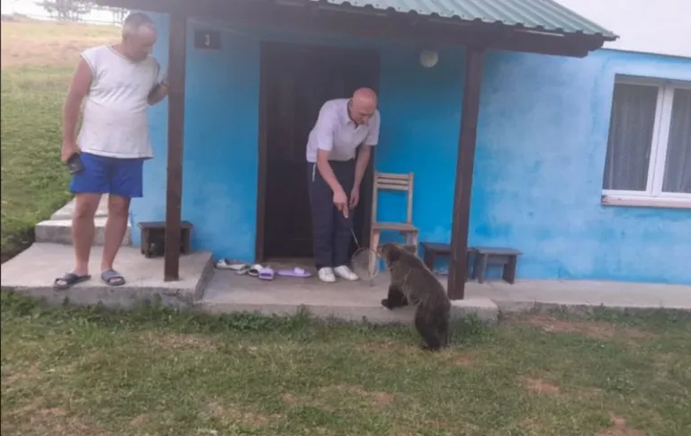 U Popovom dolu kod Pljevalja, mladunče medvjeda u dvorištu Tanjevića i ne misli da ode