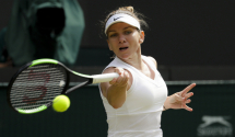 Vilijams i Halep u fialu