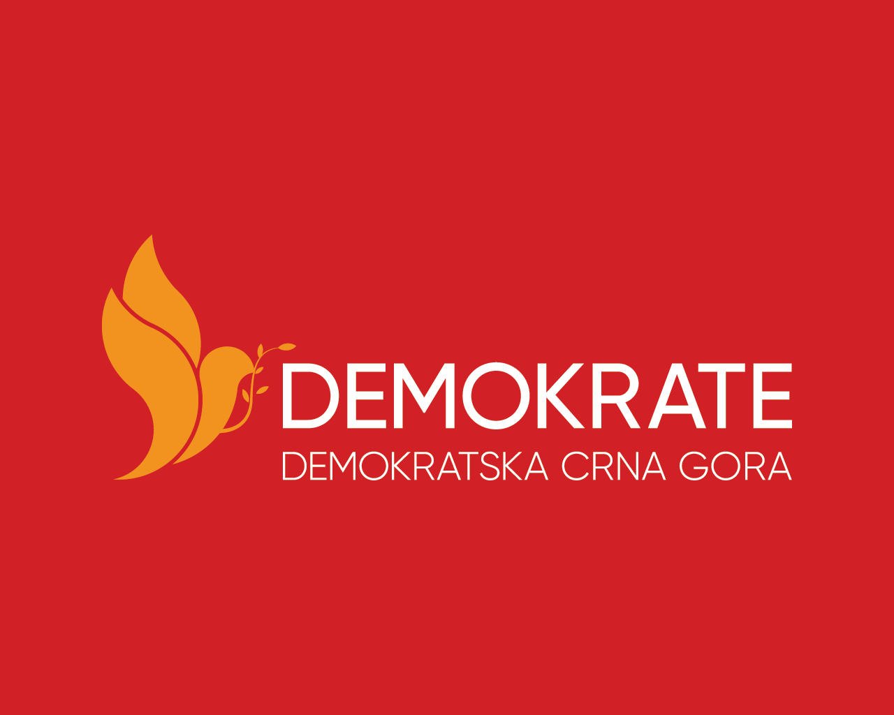 Koga su Demokrate uočile na protestu i što savjetuju Socijaldemokratama