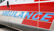 Ljudi se plaše ajkula i aviona, ali ovo je najveći "ubica" na svijetu