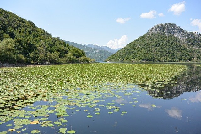 Automobil sletio s puta u Skadarsko jezero, vozač teško povrijeđen