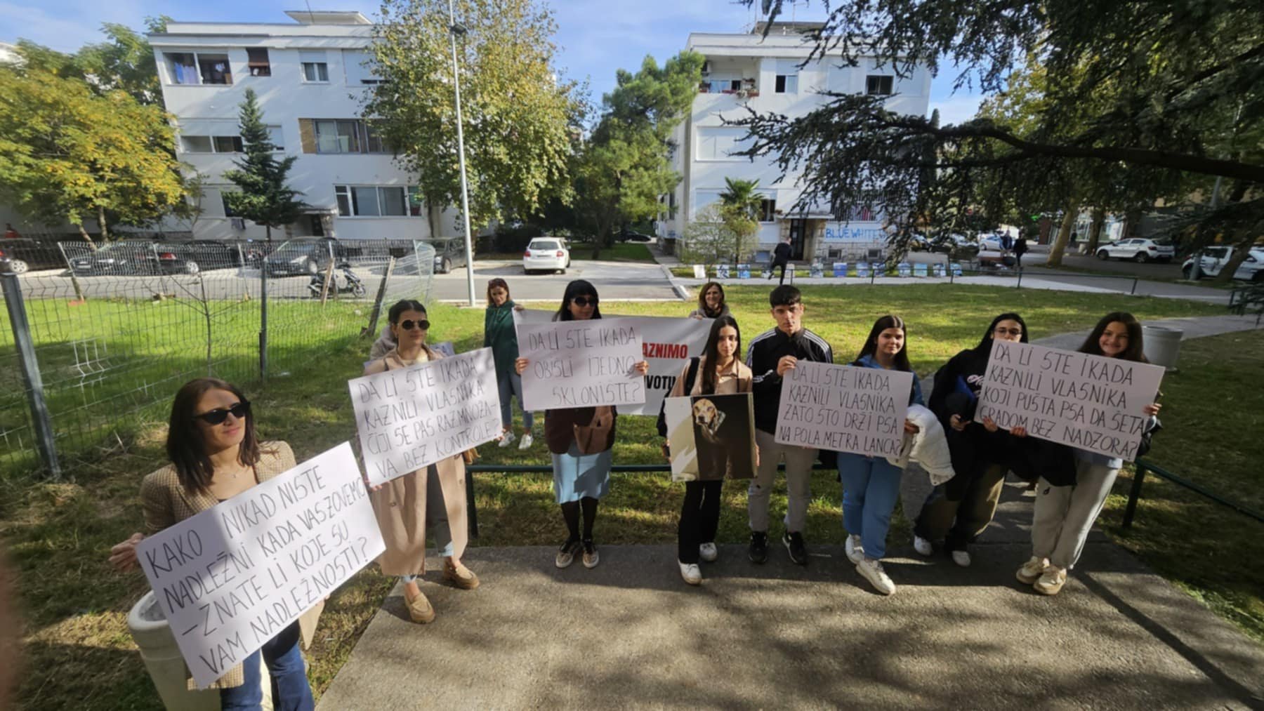 Aktivisti traže hitnu reakciju Komunalne policije zbog mučenja životinja