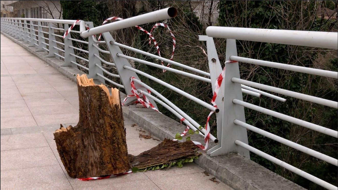 Podgorica: Vjetar oborio stablo, uništen dio ograde mosta Braće Zlatičanin; Agencija za stanovanje i Zelenilo saniraju štetu