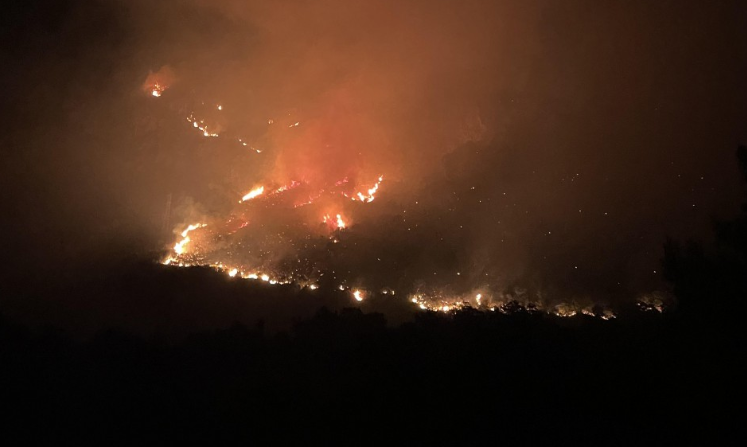 Požar na Paštrovačkoj gori pod kontrolom