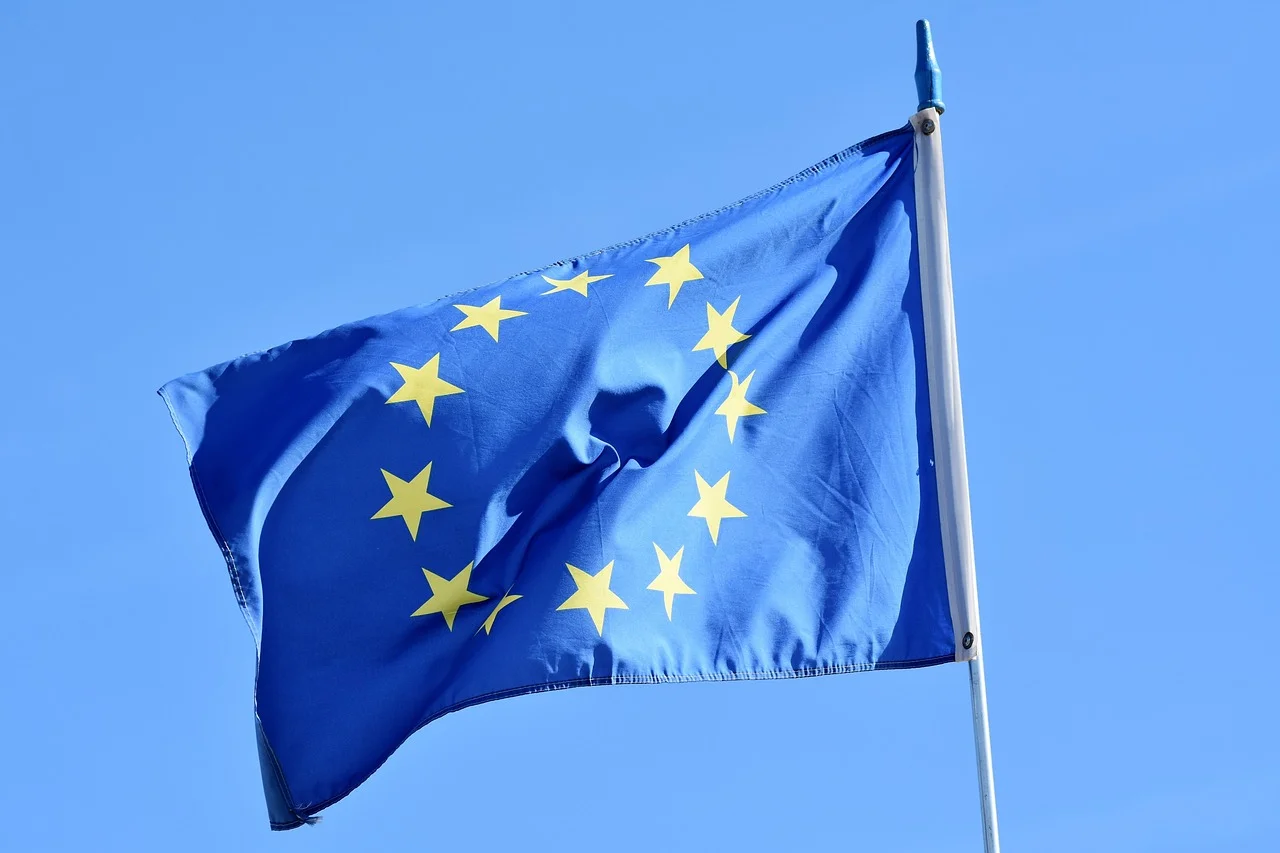 EU Progress Report – The State of Affairs And What To Do Next