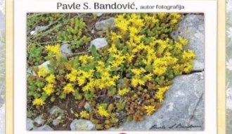 Izložba fotografija "Cvijeće u objektivu planinara"